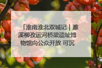 淮南淮北双城记｜濉溪柳孜运河桥梁遗址博物馆向公众开放 可沉浸式触摸历史
