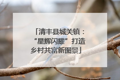 清丰县城关镇：“星辉闪耀”打造乡村共富新图景