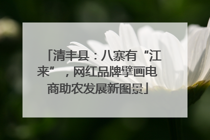 清丰县：八寨有“江来”，网红品牌擘画电商助农发展新图景