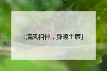 清风相伴，廉暖生辰