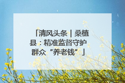 清风头条｜桑植县：精准监督守护群众“养老钱”