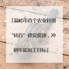 温岭市首个农业科创“硅谷”建设提速，冲刺年底竣工目标