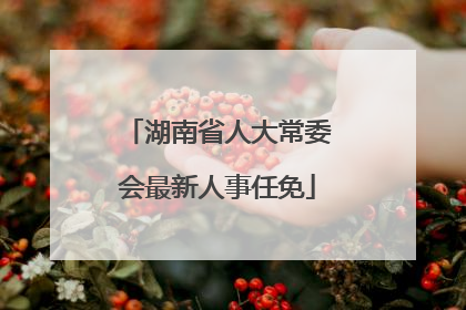 湖南省人大常委会最新人事任免