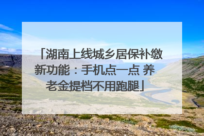 湖南上线城乡居保补缴新功能：手机点一点 养老金提档不用跑腿