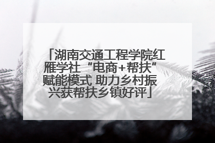 湖南交通工程学院红雁学社“电商+帮扶”赋能模式 助力乡村振兴获帮扶乡镇好评