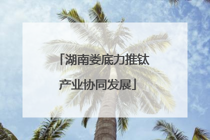 湖南娄底力推钛产业协同发展