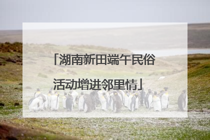 湖南新田端午民俗活动增进邻里情