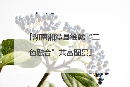 湖南湘潭县绘就“三色融合”共富图景