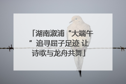 湖南溆浦“大端午”追寻屈子足迹 让诗歌与龙舟共舞