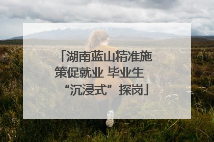 湖南蓝山精准施策促就业 毕业生“沉浸式”探岗