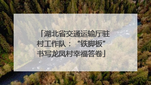 湖北省交通运输厅驻村工作队：“铁脚板”书写龙凤村幸福答卷