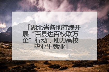 湖北省各地持续开展“百县进百校联万企”行动，助力高校毕业生就业
