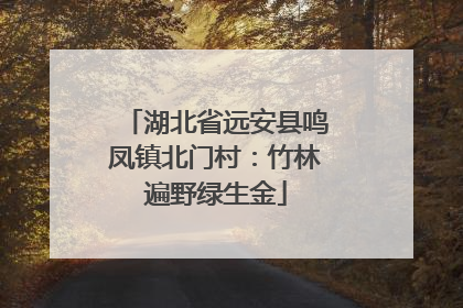 湖北省远安县鸣凤镇北门村：竹林遍野绿生金