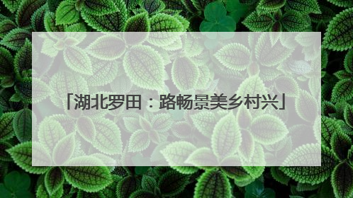 湖北罗田：路畅景美乡村兴