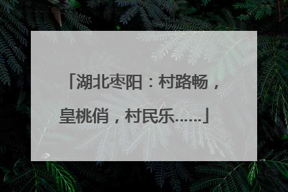 湖北枣阳：村路畅，皇桃俏，村民乐……