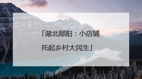 湖北郧阳：小店铺托起乡村大民生