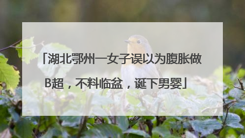 湖北鄂州一女子误以为腹胀做B超，不料临盆，诞下男婴