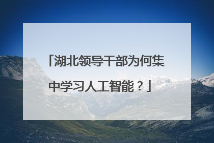 湖北领导干部为何集中学习人工智能？