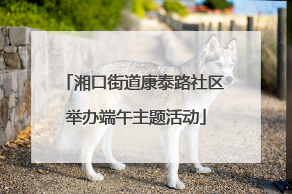 湘口街道康泰路社区举办端午主题活动