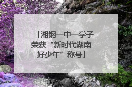湘钢一中一学子荣获“新时代湖南好少年”称号