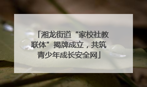 湘龙街道“家校社教联体”揭牌成立，共筑青少年成长安全网