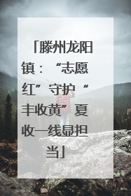 滕州龙阳镇：“志愿红”守护“丰收黄”夏收一线显担当