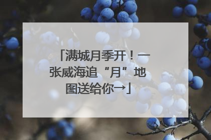 满城月季开！一张威海追“月”地图送给你→