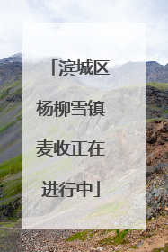 滨城区杨柳雪镇麦收正在进行中
