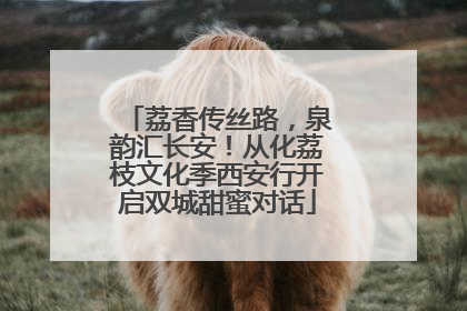 荔香传丝路，泉韵汇长安！从化荔枝文化季西安行开启双城甜蜜对话