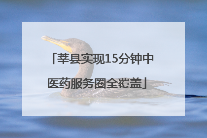 莘县实现15分钟中医药服务圈全覆盖