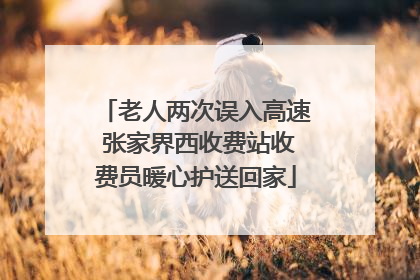 老人两次误入高速 张家界西收费站收费员暖心护送回家