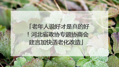 老年人说好才是真的好！河北省政协专题协商会建言加快适老化改造