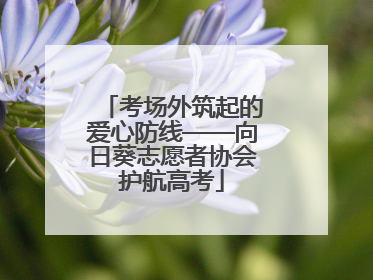 考场外筑起的爱心防线——向日葵志愿者协会护航高考