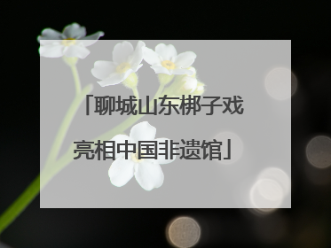 聊城山东梆子戏亮相中国非遗馆