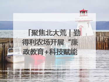 聚焦北大荒｜勤得利农场开展“廉政教育+科技赋能”主题党日活动