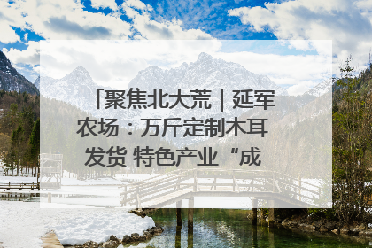 聚焦北大荒｜延军农场：万斤定制木耳发货 特色产业“成绩单”亮眼