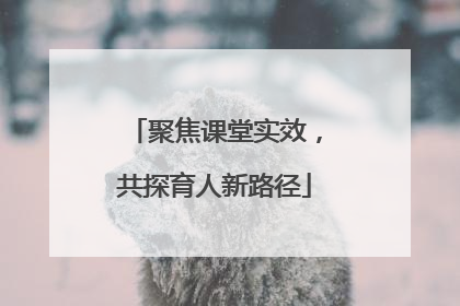 聚焦课堂实效，共探育人新路径