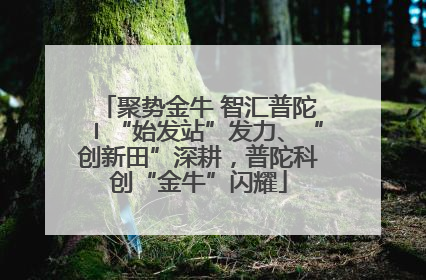 聚势金牛 智汇普陀〡“始发站”发力、“创新田”深耕，普陀科创“金牛”闪耀