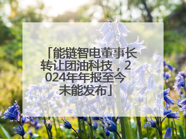 能链智电董事长转让团油科技，2024年年报至今未能发布