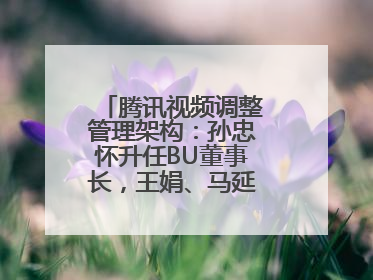 腾讯视频调整管理架构：孙忠怀升任BU董事长，王娟、马延琨任联席总裁