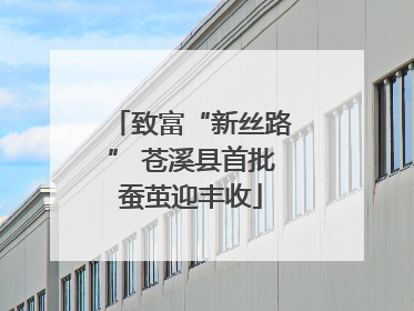 致富“新丝路” 苍溪县首批蚕茧迎丰收