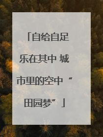 自给自足 乐在其中 城市里的空中“田园梦”