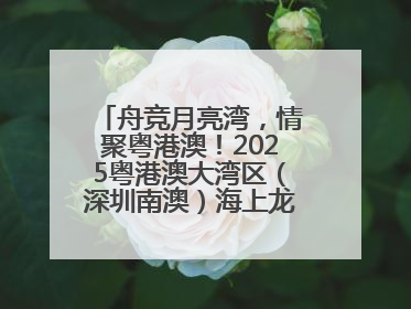 舟竞月亮湾，情聚粤港澳！2025粤港澳大湾区（深圳南澳）海上龙舟赛正式开赛！_深圳新闻网