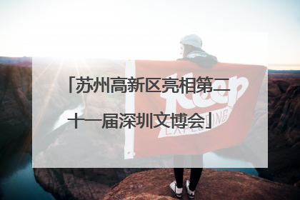 苏州高新区亮相第二十一届深圳文博会