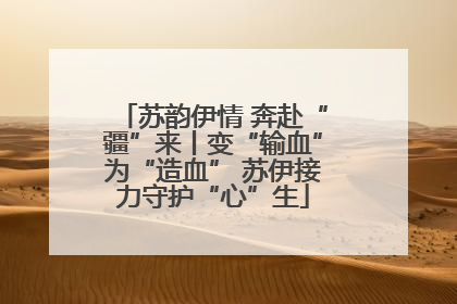 苏韵伊情 奔赴“疆”来丨变“输血”为“造血” 苏伊接力守护“心”生