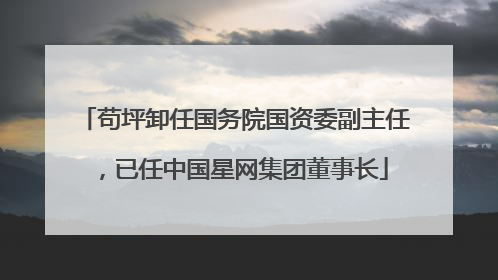 苟坪卸任国务院国资委副主任，已任中国星网集团董事长