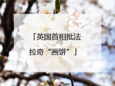 英国首相批法拉奇“画饼”