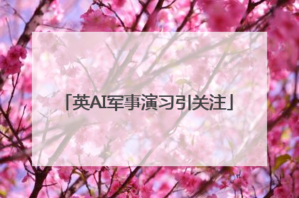 英AI军事演习引关注