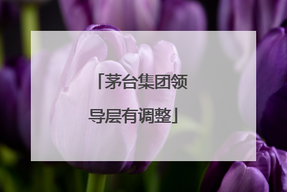 茅台集团领导层有调整