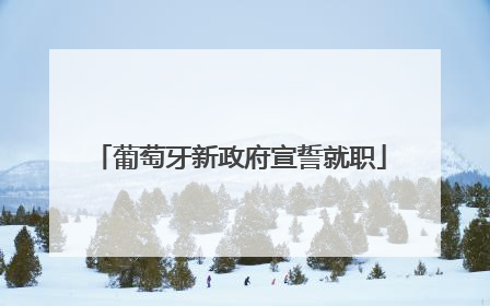 葡萄牙新政府宣誓就职